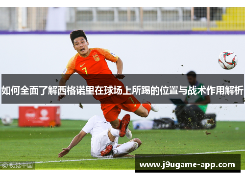 如何全面了解西格诺里在球场上所踢的位置与战术作用解析